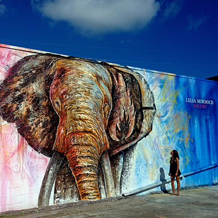 Elephant thumbnail